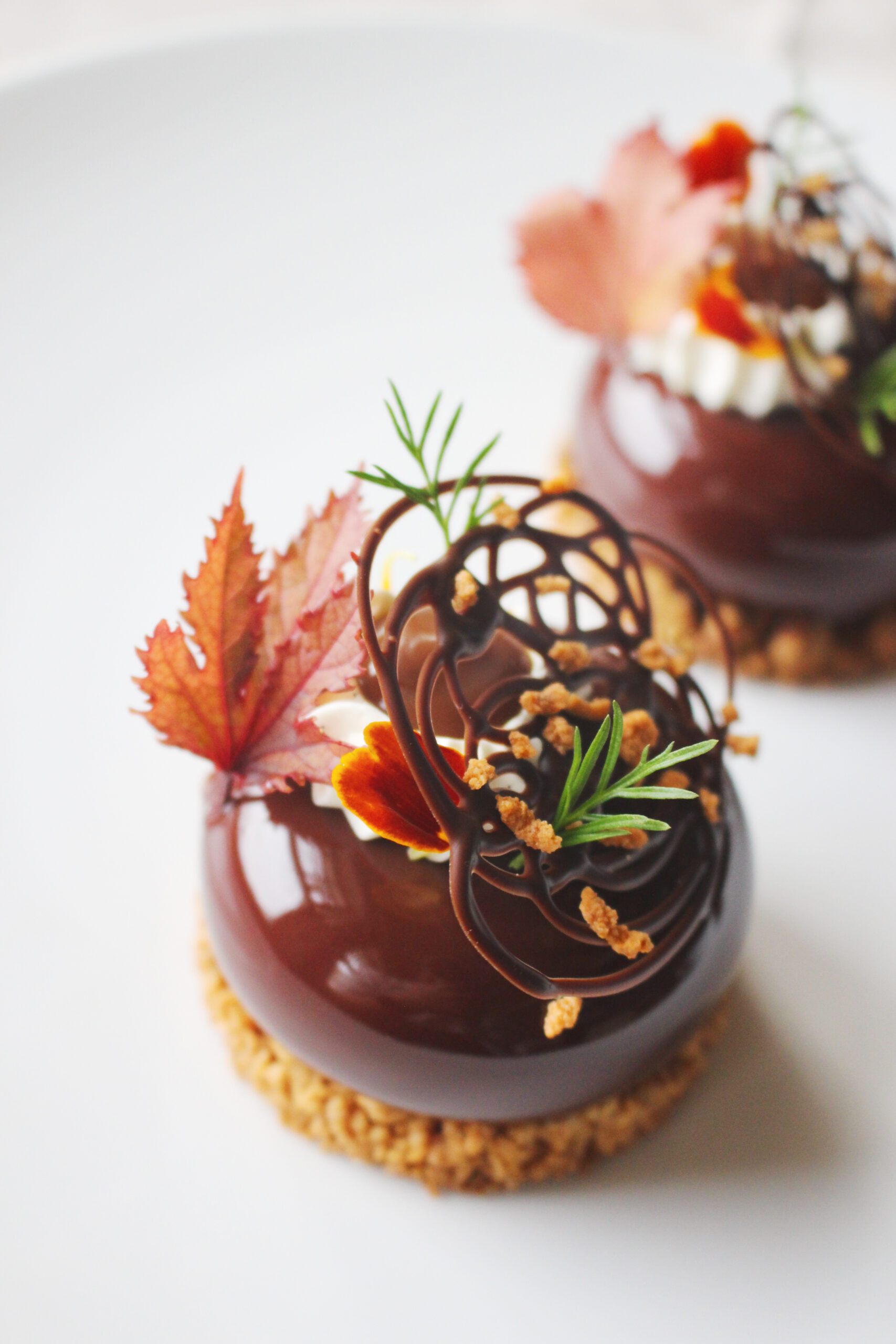 Memories Never Die - Fresh Origins