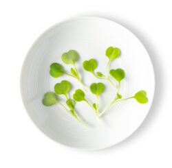 Micro Arugula