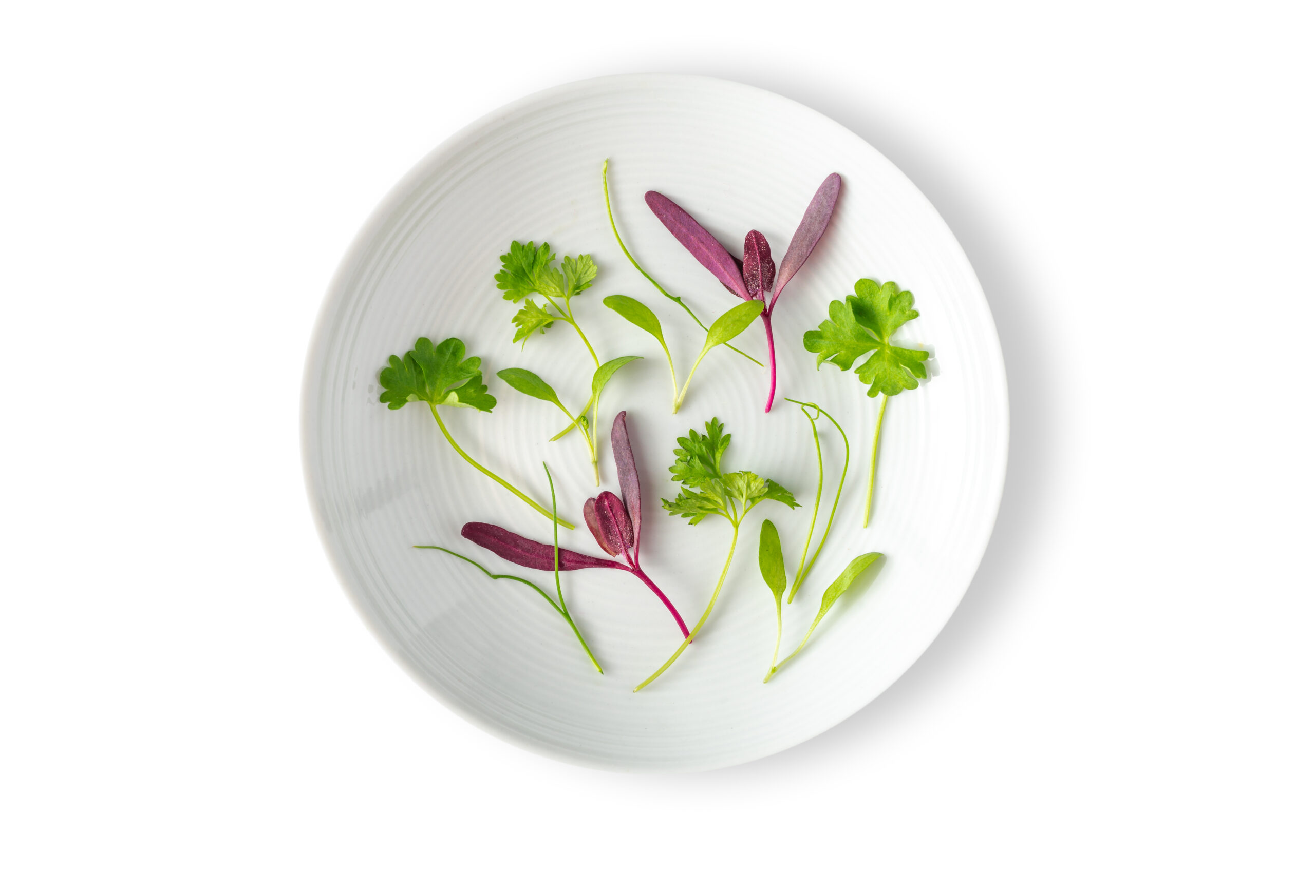 Micro Fines Herbes Mix™ Micro Fines Herbes Mix™