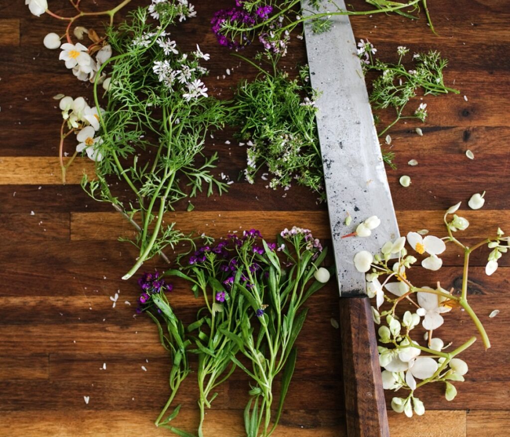 Common Questions for Distributors Fresh Origins