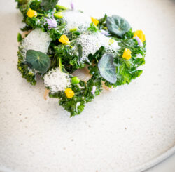 Poached Halibut with Spring Onion & Mustard Greens