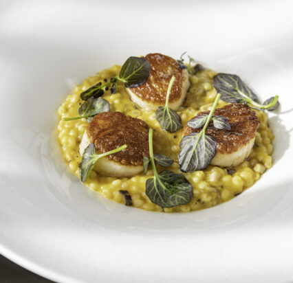 Scallops (4)