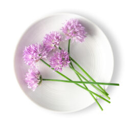 Chives Blossom