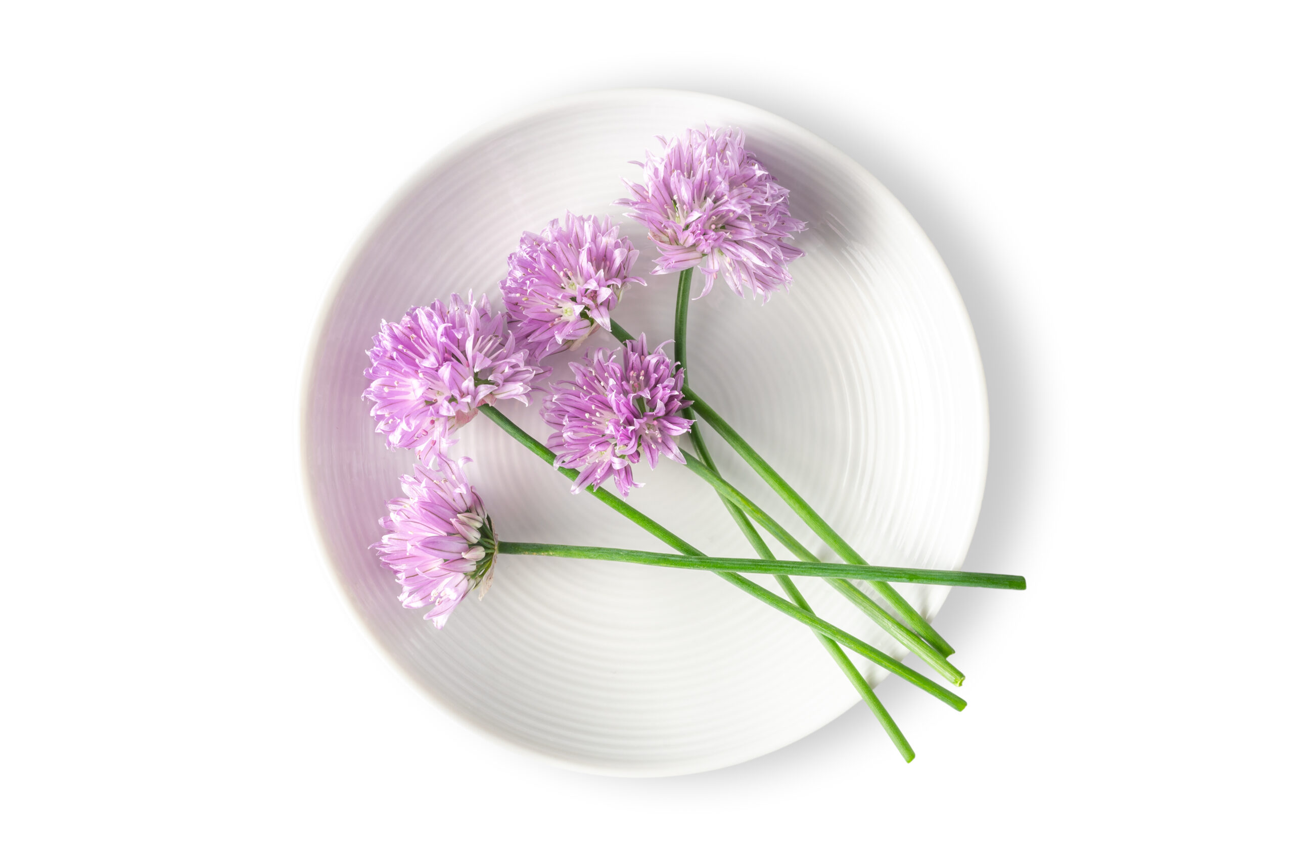 Chives Blossom