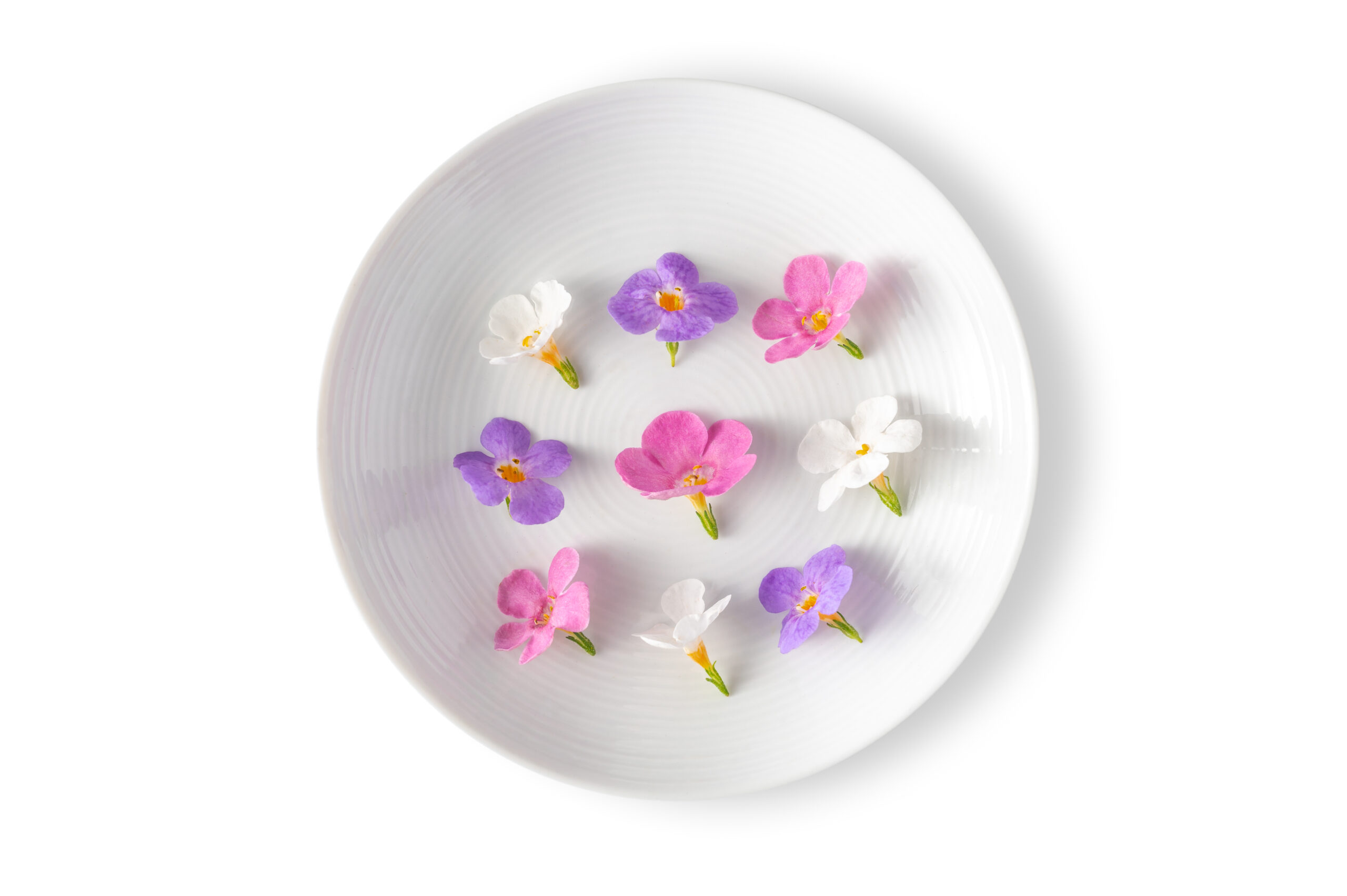 Micro Princess Flower™