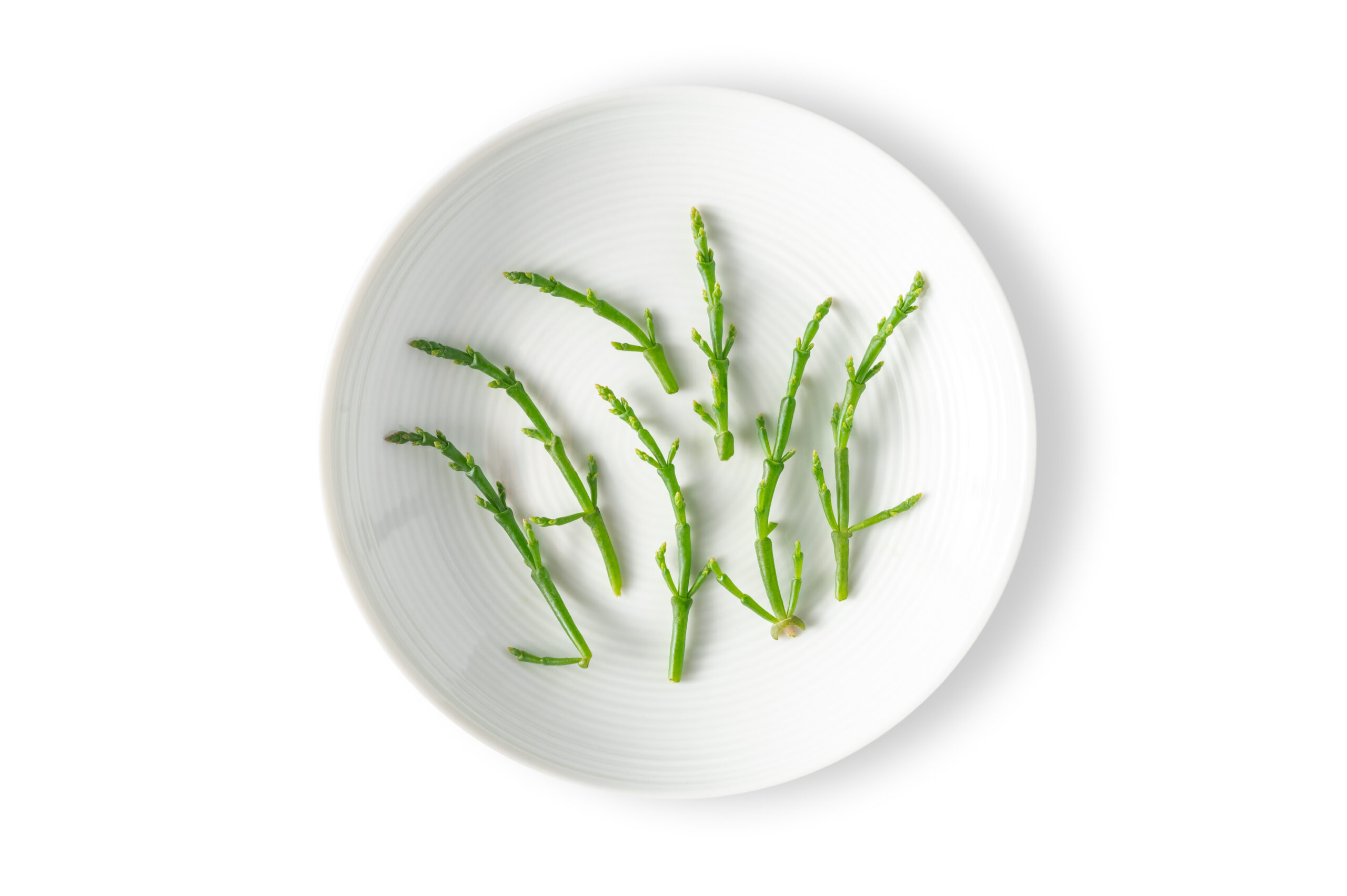 Micro Sea Beans™ - Fresh Origins