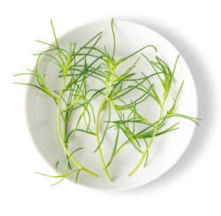 Petite® Sea Grass™