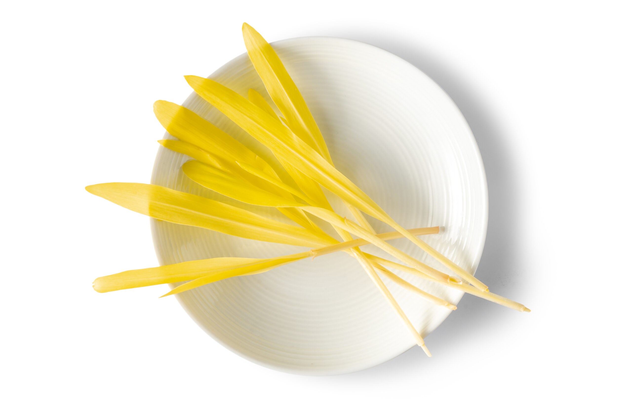 Popcorn Shoots