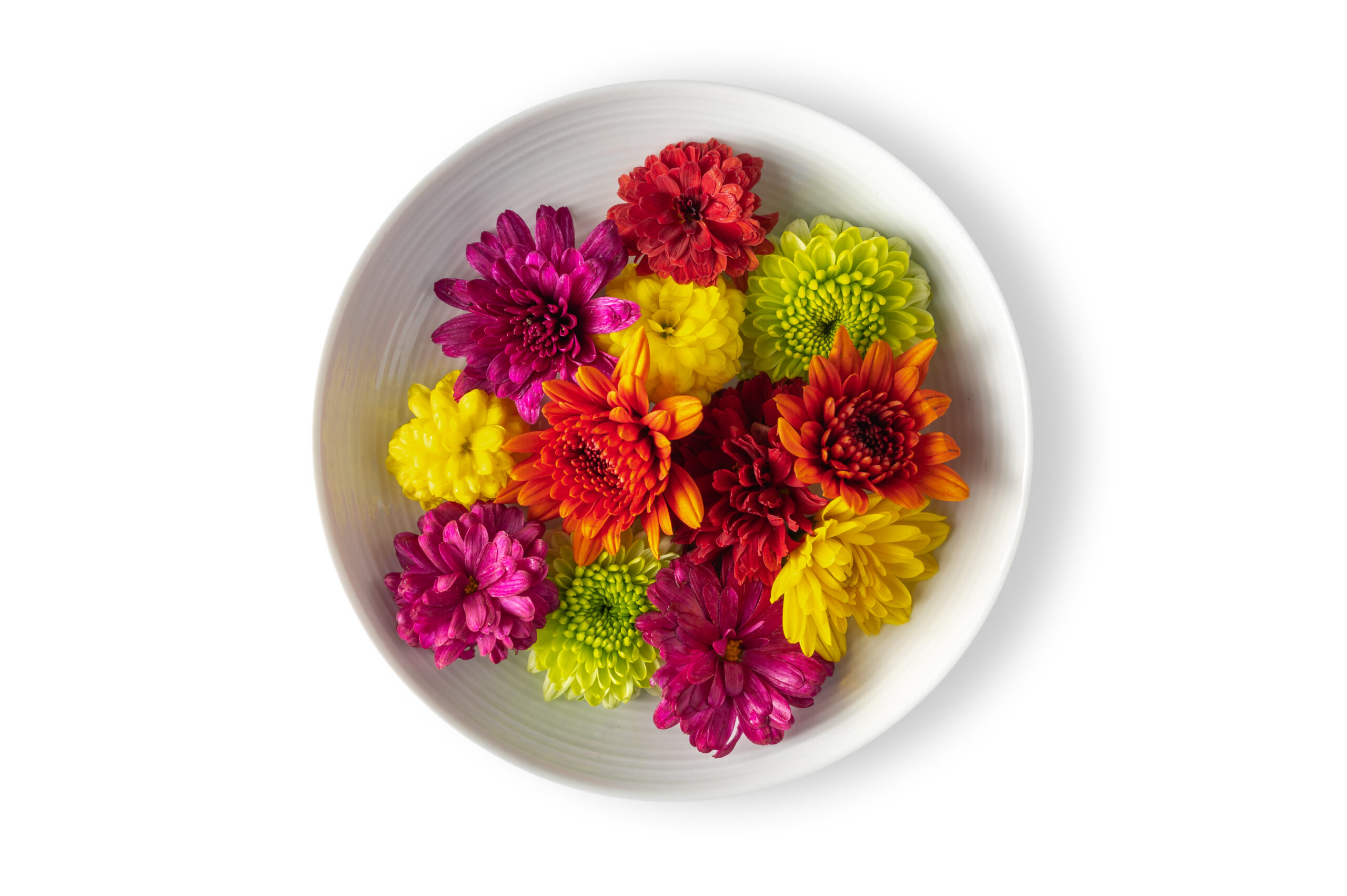 Mum Flower
