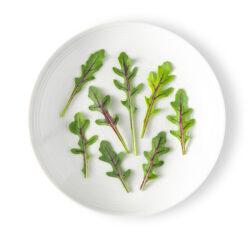 Micro Arugula Crimson Blaze™