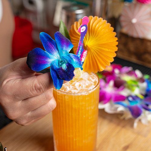 Decorative Orchid garnishing tiki-inspired cocktail.