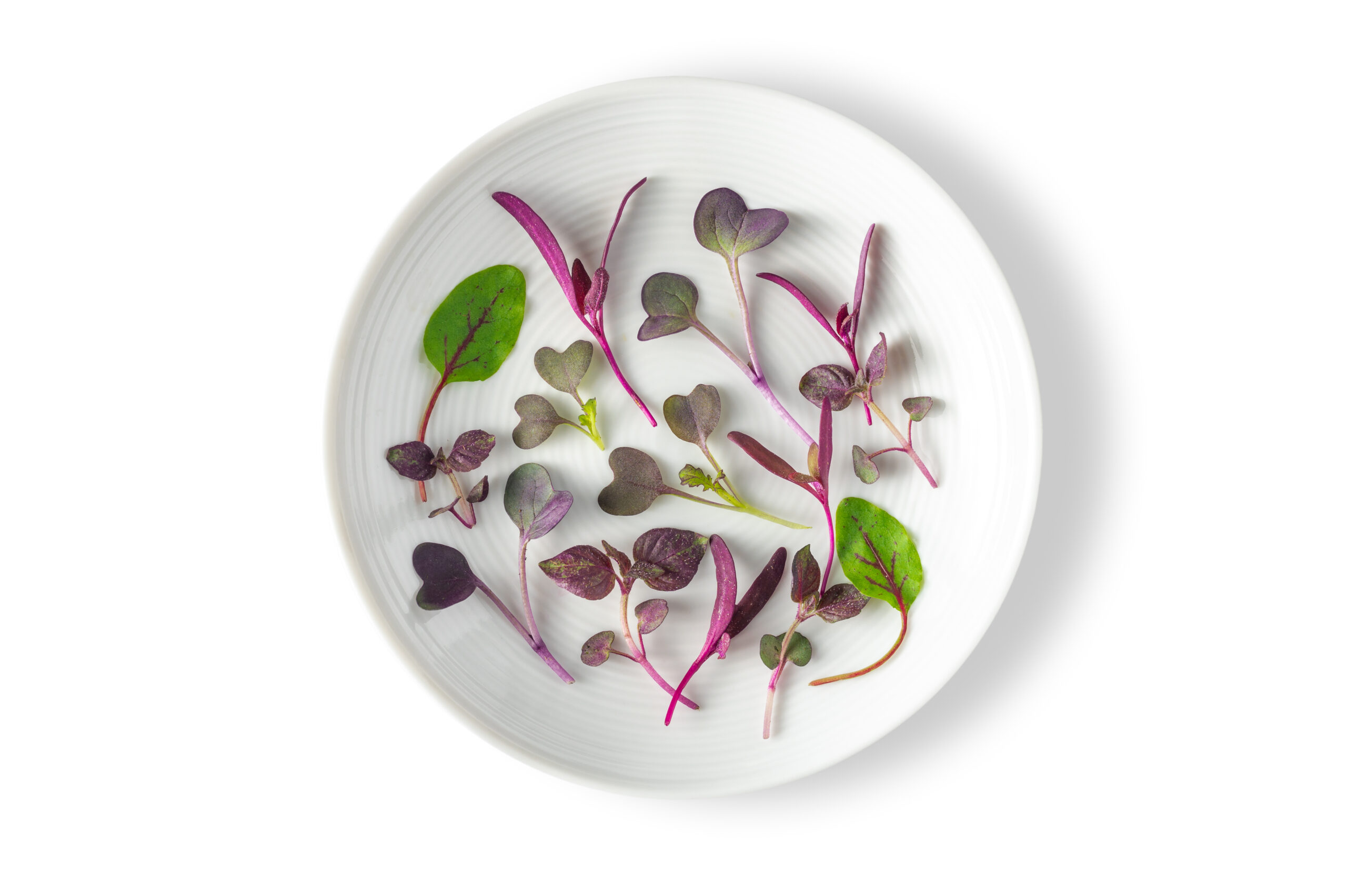 Micro Merlot Mix™ - Fresh Origins