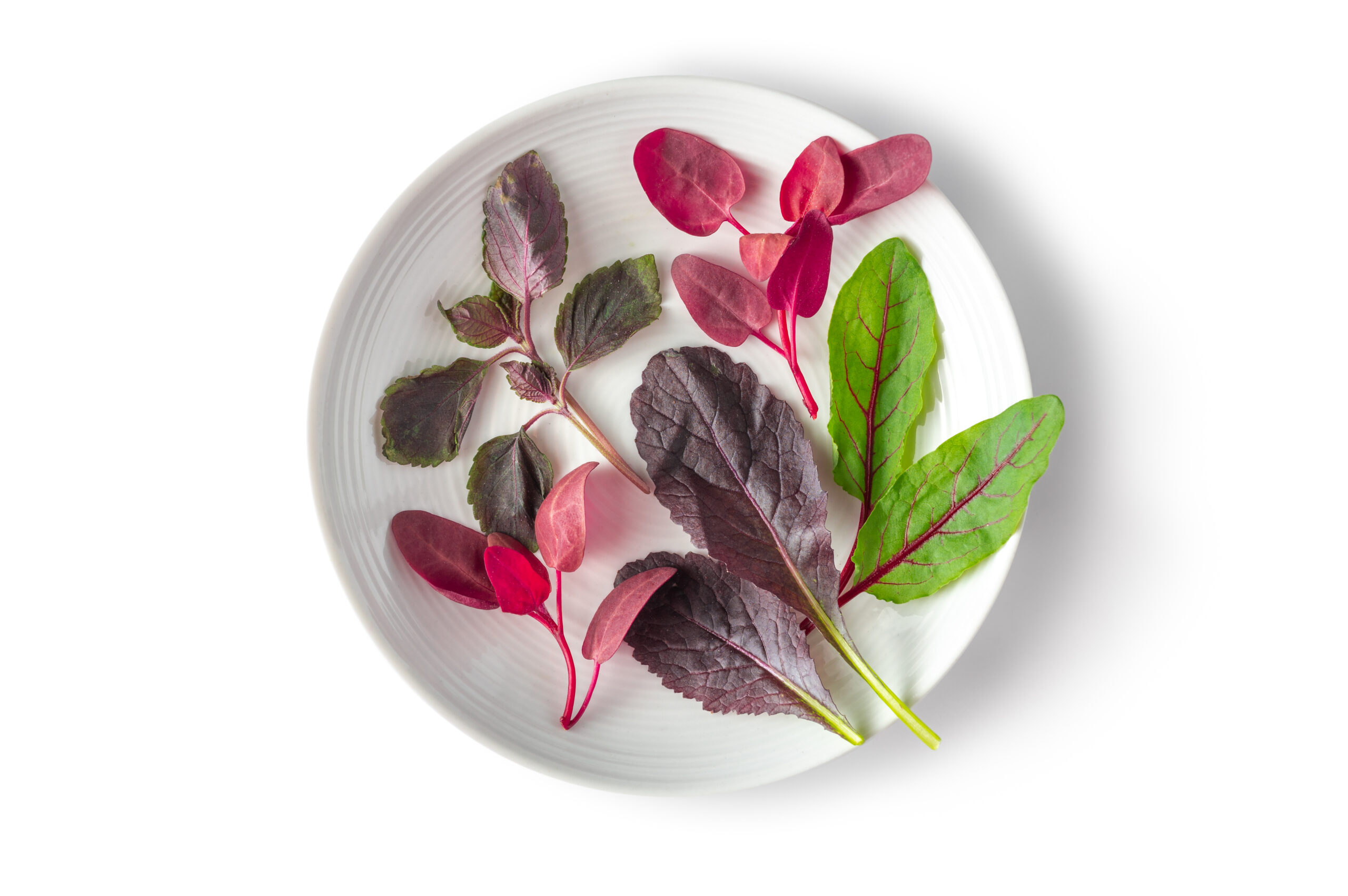 Petite® Merlot Mix™ - Fresh Origins