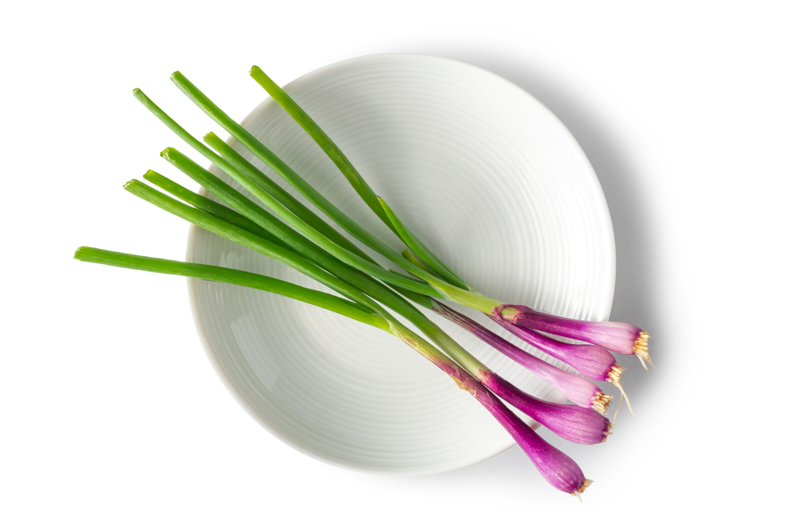 Tiny-Veggies™-Onion-Purple-