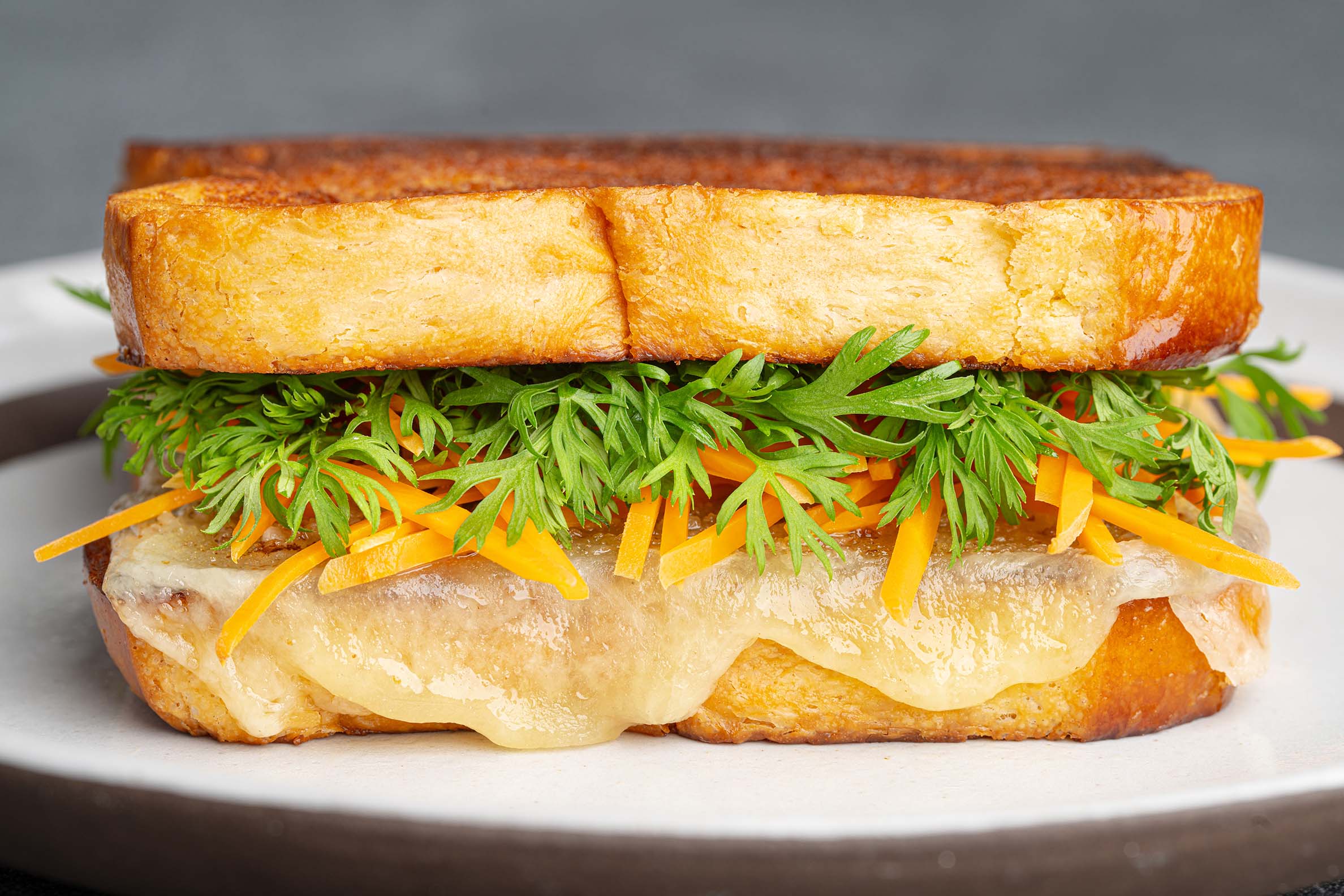 240826_Fresh Origins-Micro Carrot Top_0082-COMPRESSED