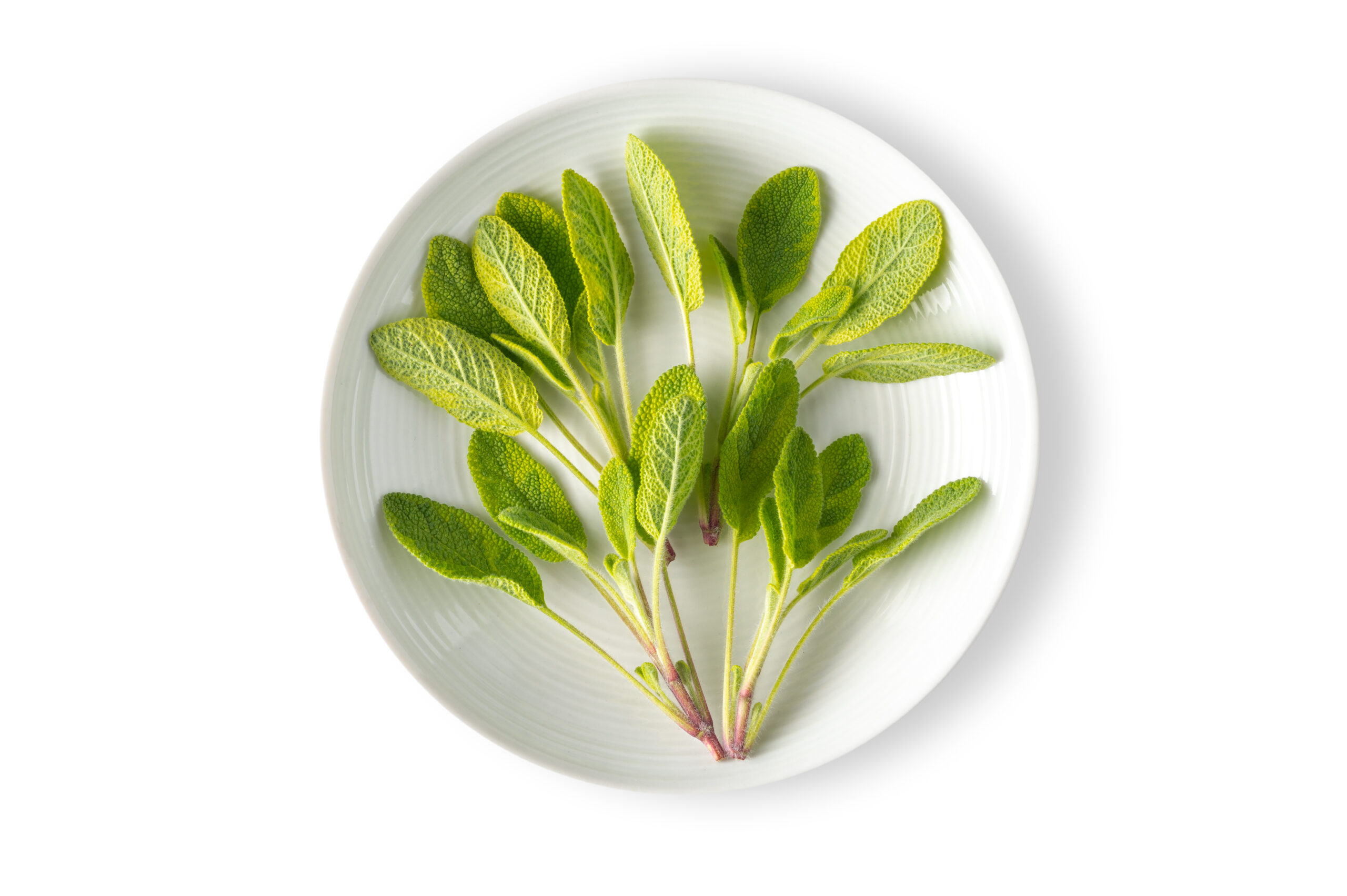 Cool & Collected Top - Light Sage