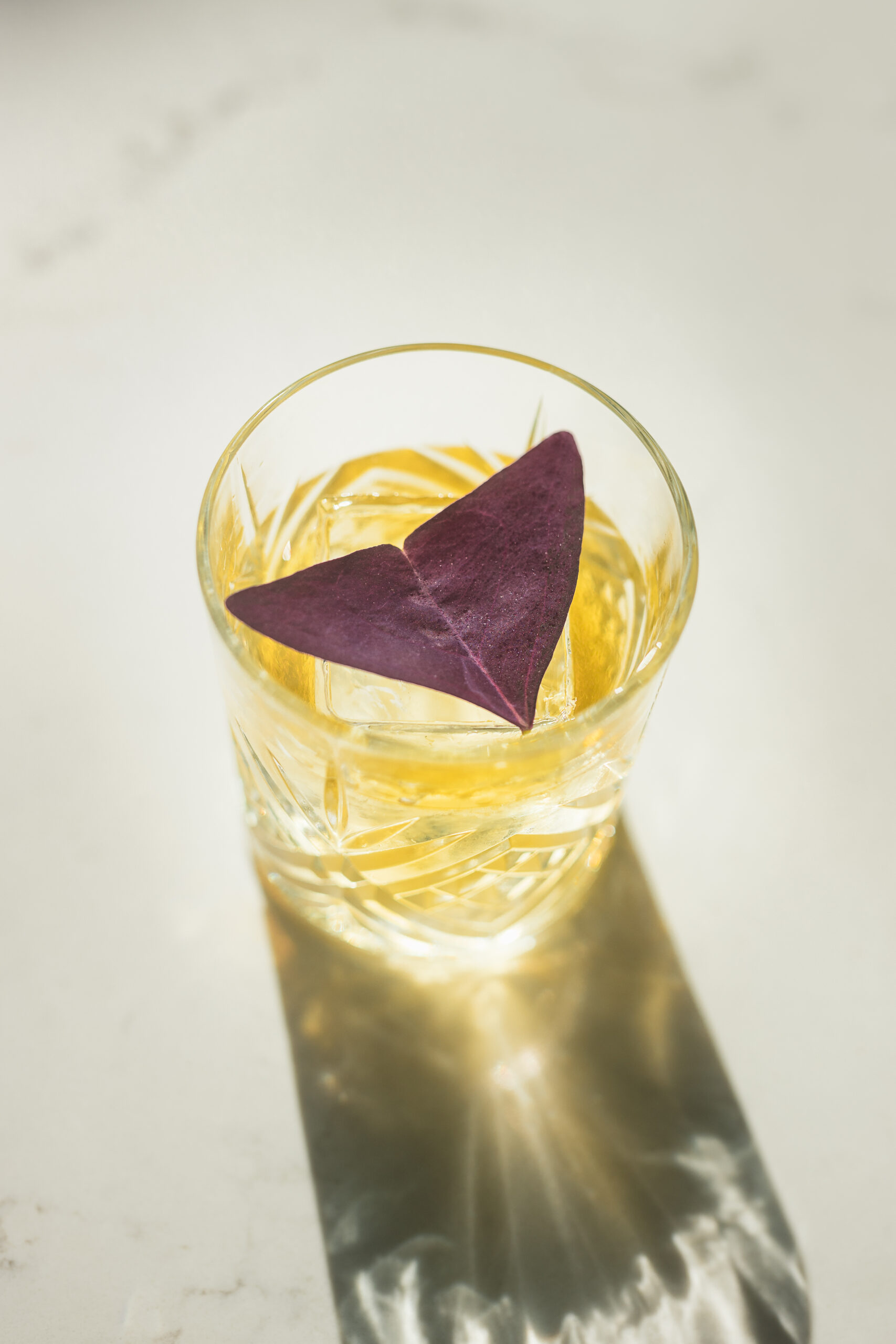 Angel’s Negroni - Fresh Origins