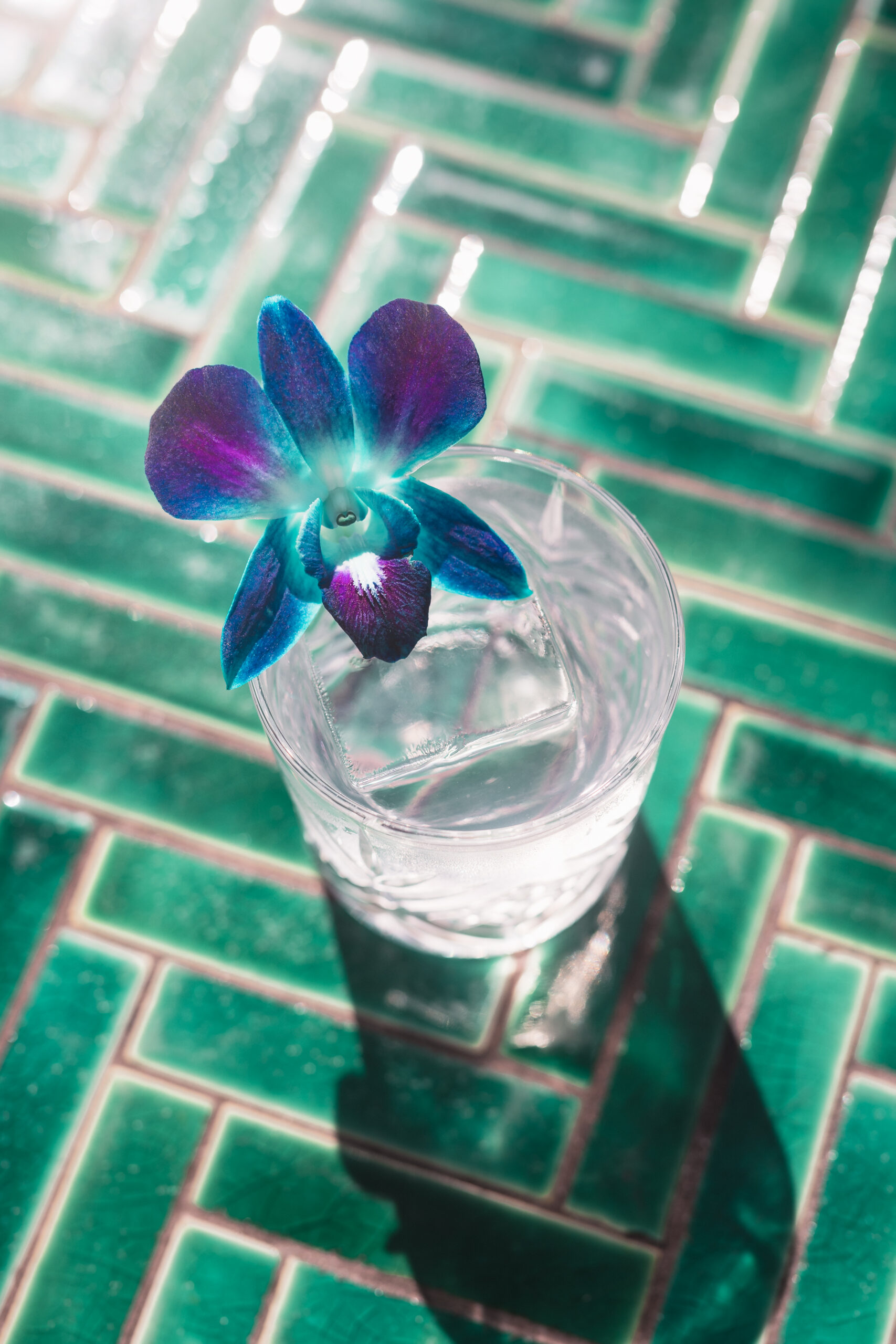 Diamond Hands - Fresh Origins