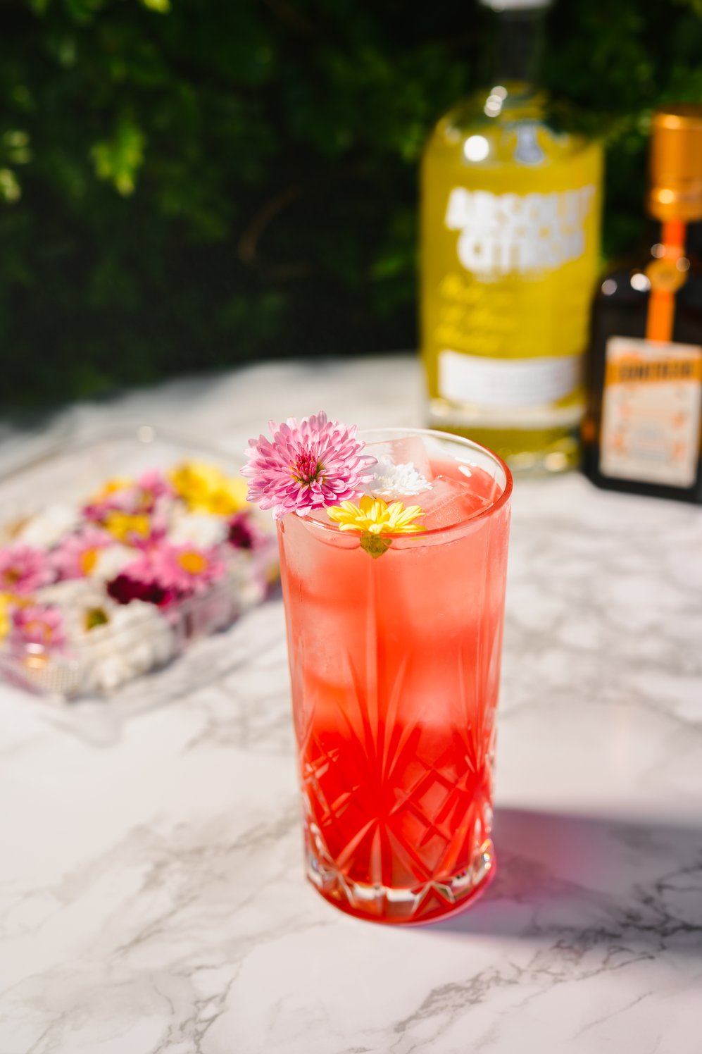 Bitter Lily - Fresh Origins