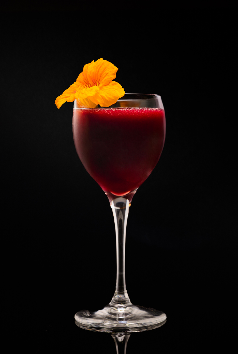 Raven's Remedy - Fresh Origins